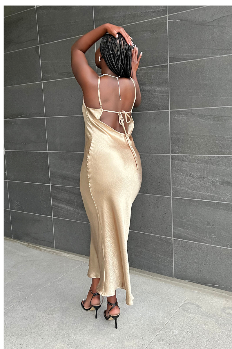 Adore Me Dress