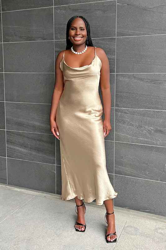 Adore Me Dress
